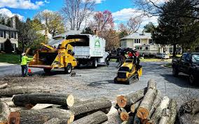 Reliable Kentland, IN Tree Care Solutions