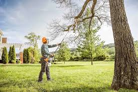 Best Tree Cabling and Bracing  in Kentland, IN