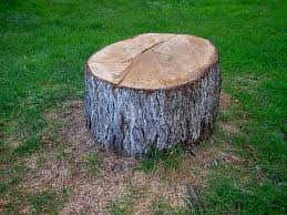  Kentland, IN Tree Care Pros
